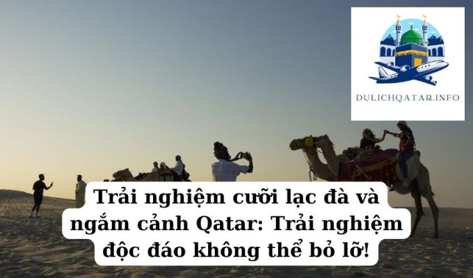 Trải nghiệm cưỡi lạc đà và ngắm cảnh Qatar Trải nghiệm độc đáo không thể bỏ lỡ!